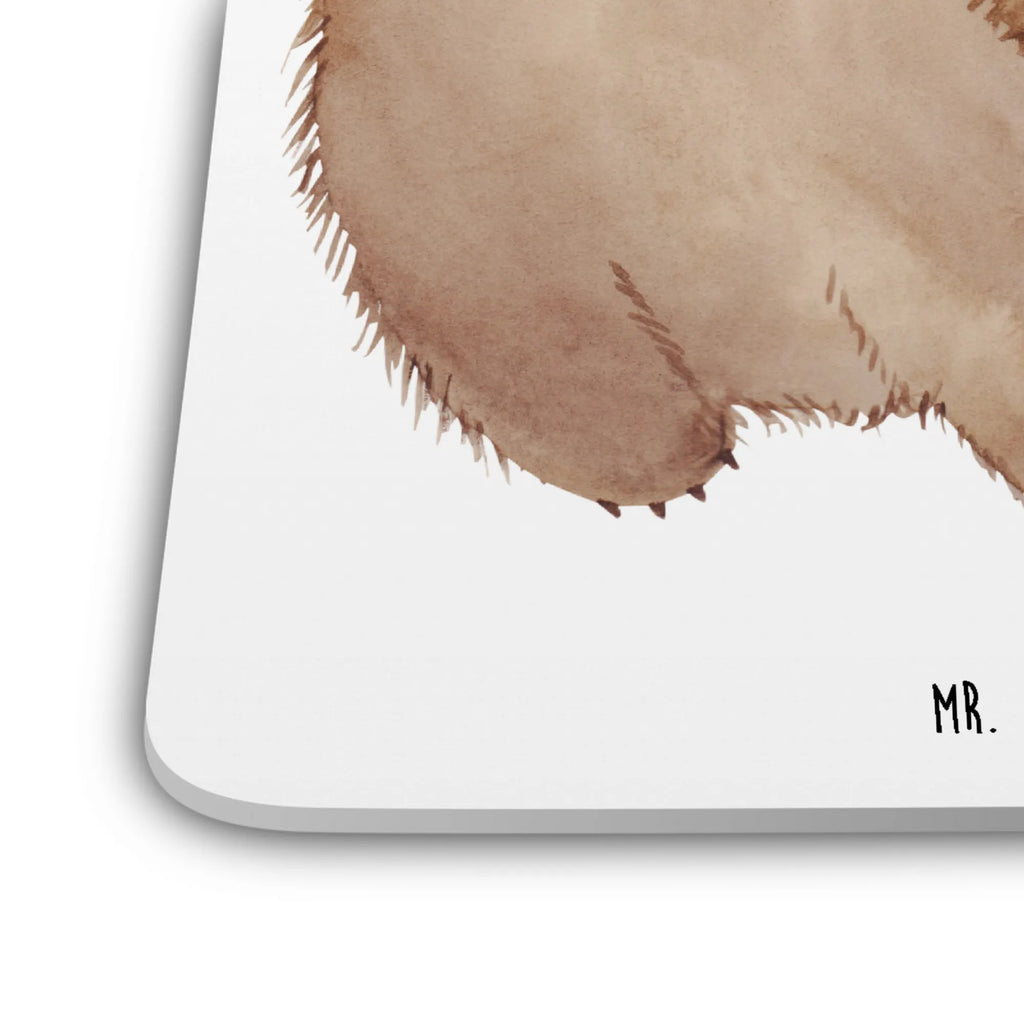 Untersetzer Set Wombat Getränke-Coaster, Underlay Für Getränke, Untersetzer, Untersetzer für Tassen, Kunststoffuntersetzer, Untersetzer Motiv, Umweltfreundlicher Untersetzer, Untersetzer Eckig, Hitzebeständiger Untersetzer, Rutschfester Untersetzer, Tassenuntersetzer, Tischuntersetzer, Getränke­sauguntersetzer, Untersetzer Für Getränke, Becheruntersetzer, Coaster, Untersetzer Set, Untersetzer für Gläser, Tischschutzuntersetzer, Dekoruntersetzer, Untersetzer für Becher, Getränkeuntersetzer, Design-Untersetzer, Nachhaltiger Untersetzer, Untersetzer Rund, Handgemachter Untersetzer, Universaluntersetzer, Glasuntersetzer, Tiermotive, Gute Laune, lustige Sprüche, Tiere, Das Leben ist schön, Spruch, Australien, Motivation, Wombat