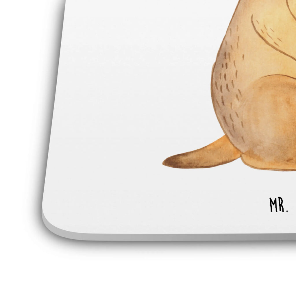 Coaster Set Meerkat Untersetzer Eckig, Untersetzer, Rutschfester Untersetzer, Getränke­sauguntersetzer, Tischuntersetzer, Underlay Für Getränke, Coaster, Untersetzer Set, Getränke-Coaster, Becheruntersetzer, Design-Untersetzer, Nachhaltiger Untersetzer, Tischschutzuntersetzer, Universaluntersetzer, Untersetzer Motiv, Umweltfreundlicher Untersetzer, Handgemachter Untersetzer, Untersetzer Rund, Untersetzer für Tassen, Glasuntersetzer, Dekoruntersetzer, Kunststoffuntersetzer, Getränkeuntersetzer, Untersetzer Für Getränke, Untersetzer für Gläser, Hitzebeständiger Untersetzer, Untersetzer für Becher, Tassenuntersetzer, Afrika, Wildtiere, Roadtrip, Weltreise, Afrikareise, Traveling, Spruch, Reisen, Erdmännchen