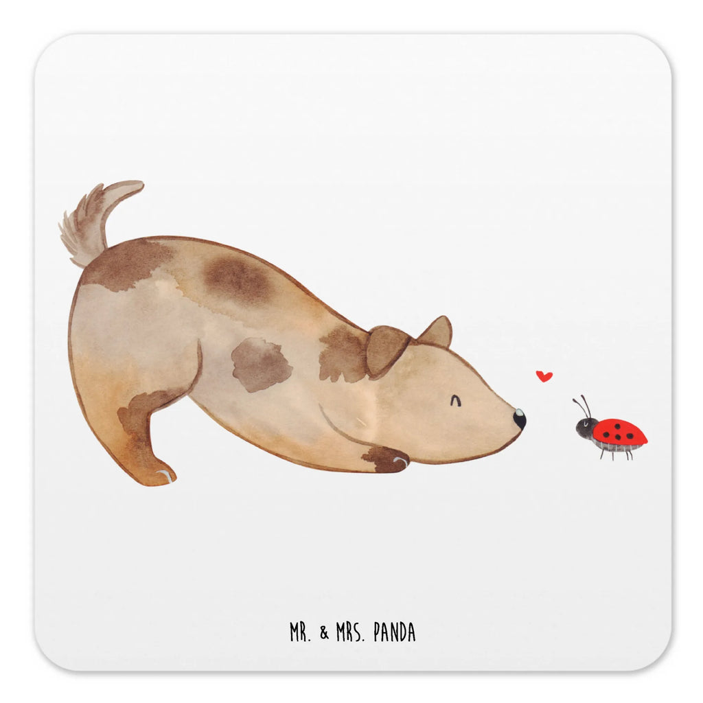 Coaster Set Dog ladybug Nachhaltiger Untersetzer, Untersetzer Eckig, Glasuntersetzer, Rutschfester Untersetzer, Coaster, Untersetzer Rund, Getränke­sauguntersetzer, Untersetzer Set, Untersetzer Für Getränke, Untersetzer für Becher, Untersetzer, Untersetzer für Gläser, Kunststoffuntersetzer, Design-Untersetzer, Getränkeuntersetzer, Tassenuntersetzer, Underlay Für Getränke, Untersetzer für Tassen, Hitzebeständiger Untersetzer, Umweltfreundlicher Untersetzer, Dekoruntersetzer, Getränke-Coaster, Tischschutzuntersetzer, Untersetzer Motiv, Universaluntersetzer, Handgemachter Untersetzer, Becheruntersetzer, Tischuntersetzer, Hund, Hundemotiv, Haustier, Hunderasse, Tierliebhaber, Hundebesitzer, Sprüche, Mischlinghund, Mischling, Marienkäfer, Hundespruch, Hunde