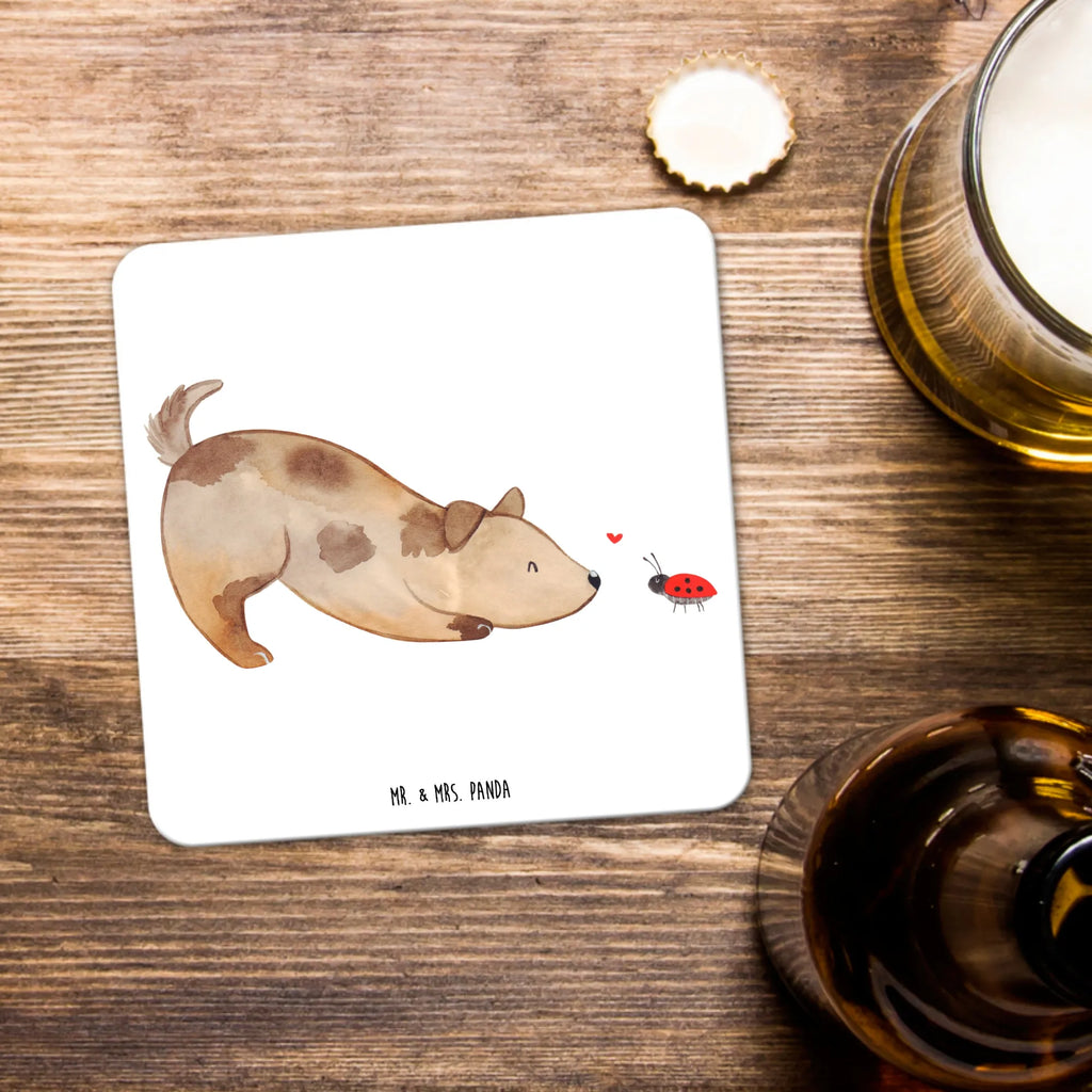 Coaster Set Dog ladybug Nachhaltiger Untersetzer, Untersetzer Eckig, Glasuntersetzer, Rutschfester Untersetzer, Coaster, Untersetzer Rund, Getränke­sauguntersetzer, Untersetzer Set, Untersetzer Für Getränke, Untersetzer für Becher, Untersetzer, Untersetzer für Gläser, Kunststoffuntersetzer, Design-Untersetzer, Getränkeuntersetzer, Tassenuntersetzer, Underlay Für Getränke, Untersetzer für Tassen, Hitzebeständiger Untersetzer, Umweltfreundlicher Untersetzer, Dekoruntersetzer, Getränke-Coaster, Tischschutzuntersetzer, Untersetzer Motiv, Universaluntersetzer, Handgemachter Untersetzer, Becheruntersetzer, Tischuntersetzer, Hund, Hundemotiv, Haustier, Hunderasse, Tierliebhaber, Hundebesitzer, Sprüche, Mischlinghund, Mischling, Marienkäfer, Hundespruch, Hunde