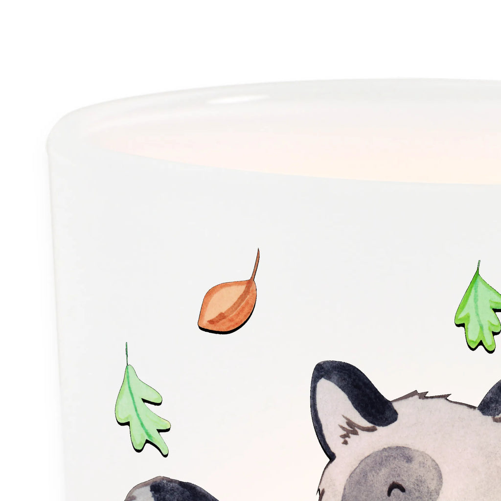 Lantern Raccoon Lantern Wind light, tealight holder, glass tealight, Halloween, decoration, Martin singing, decor, gifts, giving