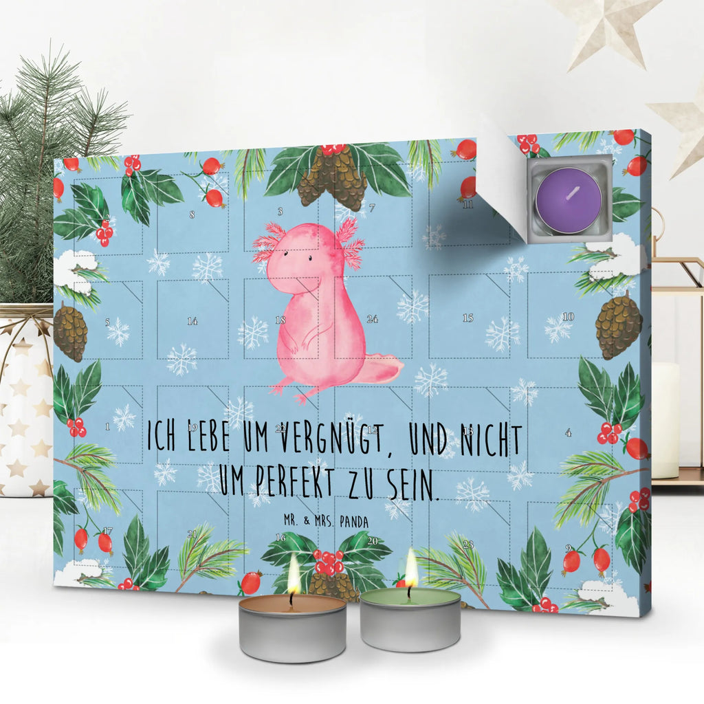 Scented candle advent calendar axolotl zero salamander, Axelotl, marine animals, Mexican walking fish, cheerful, lifestyle, wisdom, contented, worldly wisdom, girlfriend