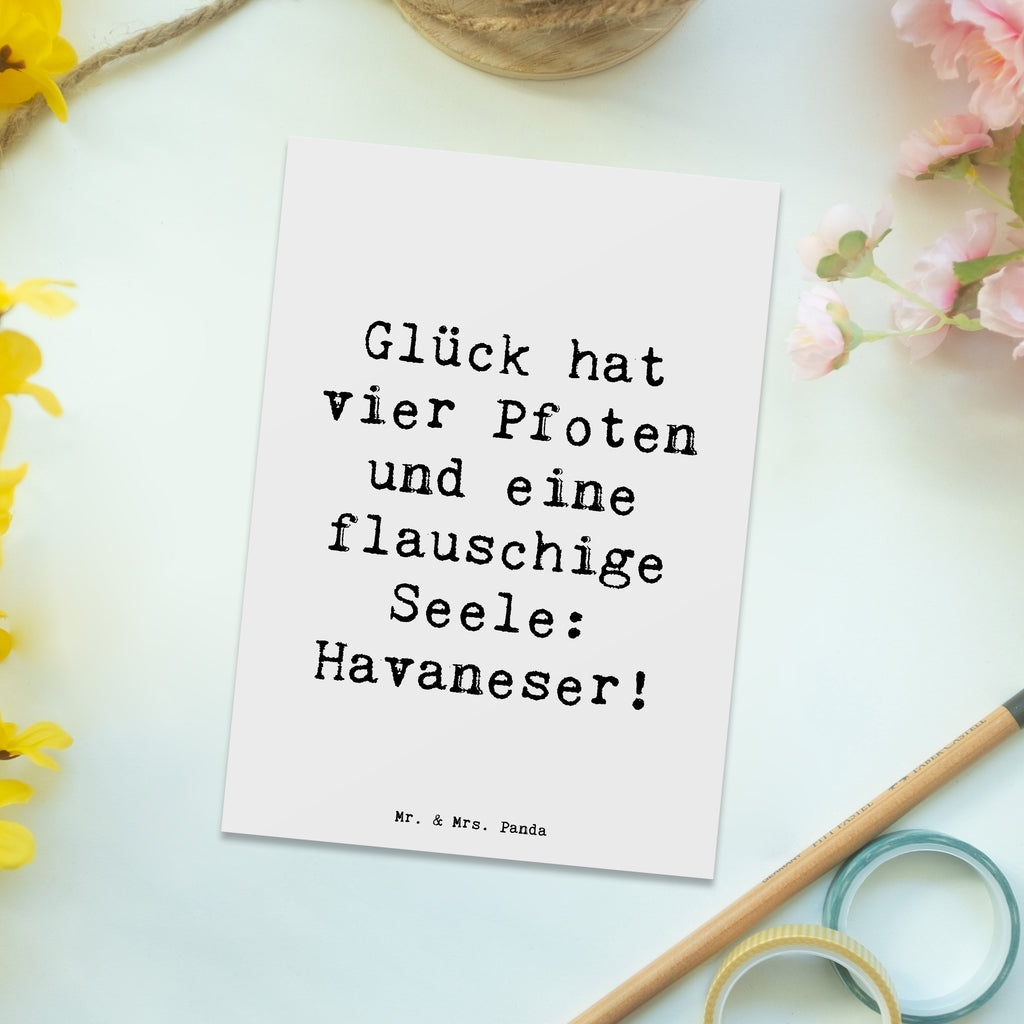 Postcard Saying Glück hat vier Pfoten und eine flauschige Seele: Havaneser! Dankeskarte, Karte, Einladung, Einladung Geburtstag, Ansichtskarte, Postkarte, Ansichtskarten, Geburtstagskarte, Einladungskarte, Grußkarte, Einladungskarten Geburtstag, Geschenkkarte, Hund, Hunderasse, Rassehund, Hundebesitzer, Geschenk, Tierfreund, Schenken, Welpe