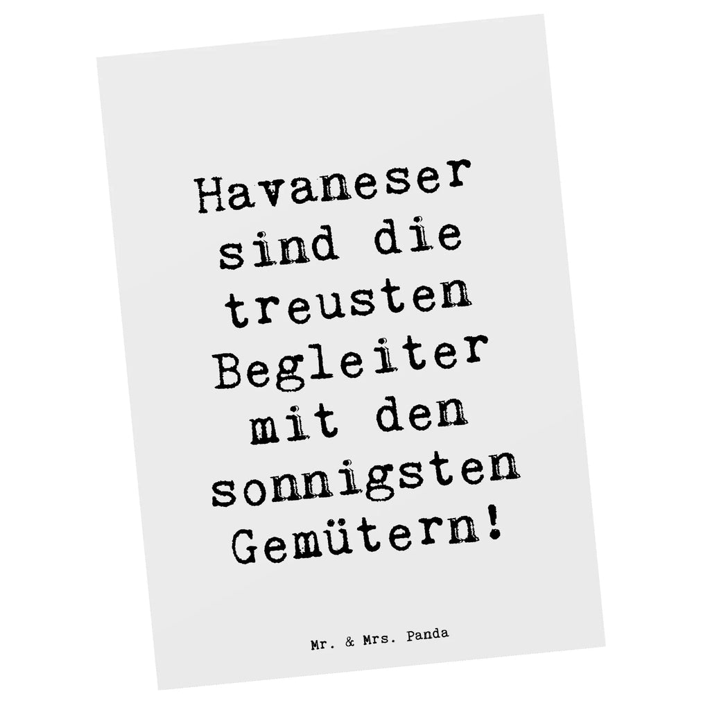 Postkarte Spruch Havaneser Begleiter Geburtstagskarte, Grußkarte, Einladung, Einladung Geburtstag, Geschenkkarte, Einladungskarte, Karte, Ansichtskarten, Einladungskarten Geburtstag, Postkarte, Ansichtskarte, Dankeskarte, Hund, Hunderasse, Rassehund, Hundebesitzer, Geschenk, Tierfreund, Schenken, Welpe