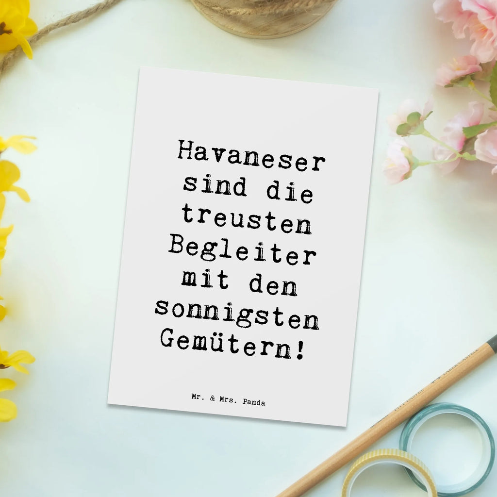 Postkarte Spruch Havaneser Begleiter Geburtstagskarte, Grußkarte, Einladung, Einladung Geburtstag, Geschenkkarte, Einladungskarte, Karte, Ansichtskarten, Einladungskarten Geburtstag, Postkarte, Ansichtskarte, Dankeskarte, Hund, Hunderasse, Rassehund, Hundebesitzer, Geschenk, Tierfreund, Schenken, Welpe