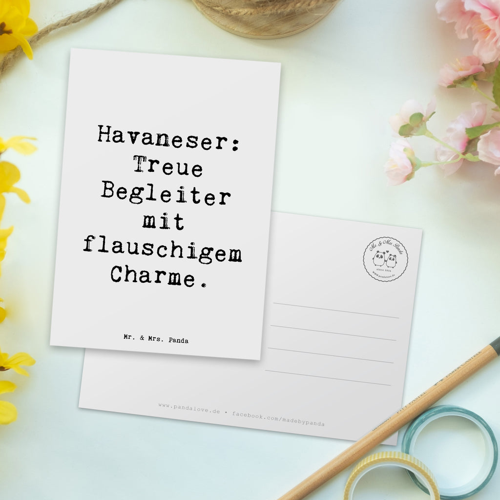 Postkarte Spruch Havaneser Charme Geburtstagskarte, Karte, Ansichtskarten, Ansichtskarte, Einladung, Dankeskarte, Grußkarte, Einladungskarte, Einladung Geburtstag, Geschenkkarte, Postkarte, Einladungskarten Geburtstag, Hund, Hunderasse, Rassehund, Hundebesitzer, Geschenk, Tierfreund, Schenken, Welpe