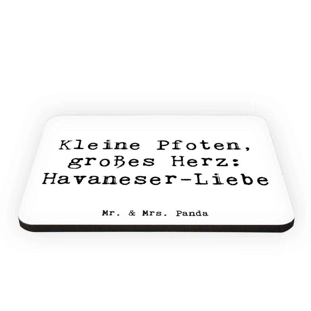 Magnet Saying Kleine Pfoten, großes Herz: Havaneser-Liebe Whiteboard Magnet, Kühlschrankmagnet, Notiz Magnet, Motivmagnete, Souvenir Magnet, Pinnwandmagnet, Kühlschrank Dekoration, Dekomagnet, Hund, Hunderasse, Rassehund, Hundebesitzer, Geschenk, Tierfreund, Schenken, Welpe