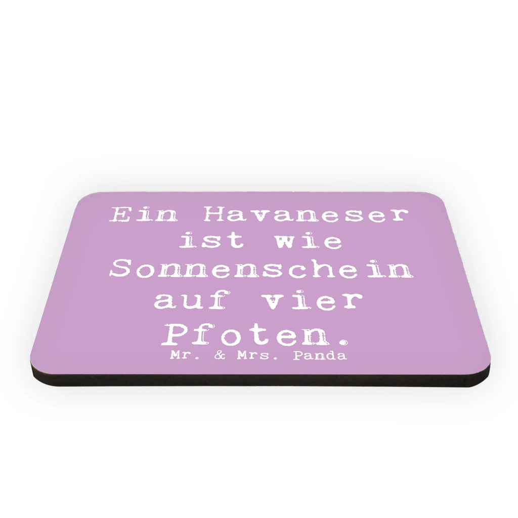 Magnet Saying Ein Havaneser ist wie Sonnenschein auf vier Pfoten. Notiz Magnet, Dekomagnet, Pinnwandmagnet, Whiteboard Magnet, Kühlschrankmagnet, Souvenir Magnet, Motivmagnete, Kühlschrank Dekoration, Hund, Hunderasse, Rassehund, Hundebesitzer, Geschenk, Tierfreund, Schenken, Welpe
