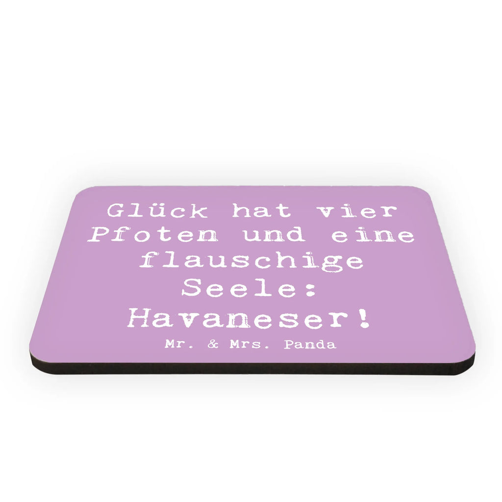 Magnet Saying Glück hat vier Pfoten und eine flauschige Seele: Havaneser! Souvenir Magnet, Kühlschrank Dekoration, Pinnwandmagnet, Dekomagnet, Motivmagnete, Kühlschrankmagnet, Whiteboard Magnet, Notiz Magnet, Hund, Hunderasse, Rassehund, Hundebesitzer, Geschenk, Tierfreund, Schenken, Welpe