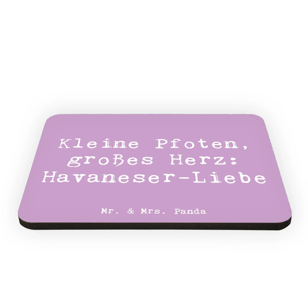 Magnet Saying Kleine Pfoten, großes Herz: Havaneser-Liebe Whiteboard Magnet, Kühlschrankmagnet, Notiz Magnet, Motivmagnete, Souvenir Magnet, Pinnwandmagnet, Kühlschrank Dekoration, Dekomagnet, Hund, Hunderasse, Rassehund, Hundebesitzer, Geschenk, Tierfreund, Schenken, Welpe