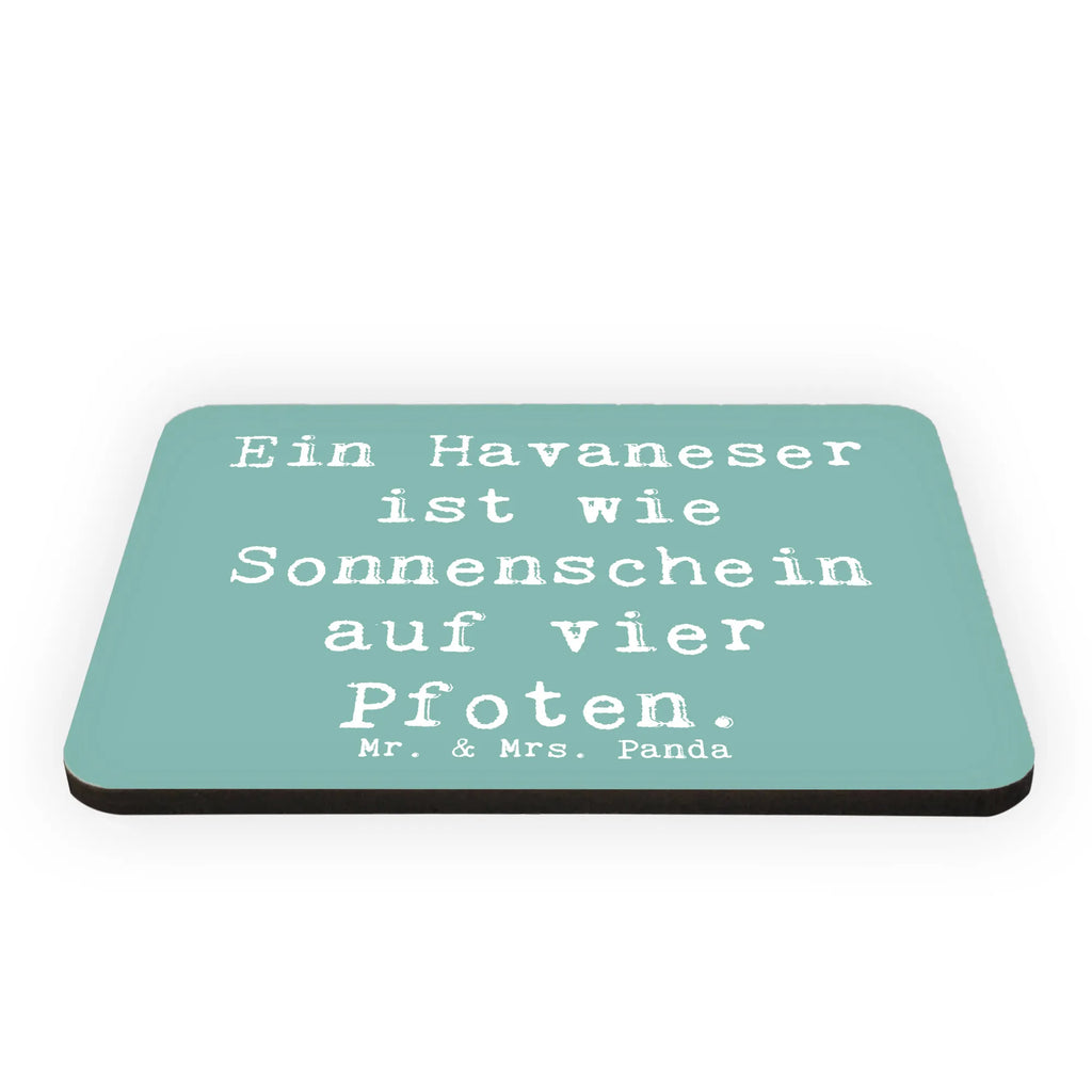 Magnet Saying Ein Havaneser ist wie Sonnenschein auf vier Pfoten. Notiz Magnet, Dekomagnet, Pinnwandmagnet, Whiteboard Magnet, Kühlschrankmagnet, Souvenir Magnet, Motivmagnete, Kühlschrank Dekoration, Hund, Hunderasse, Rassehund, Hundebesitzer, Geschenk, Tierfreund, Schenken, Welpe