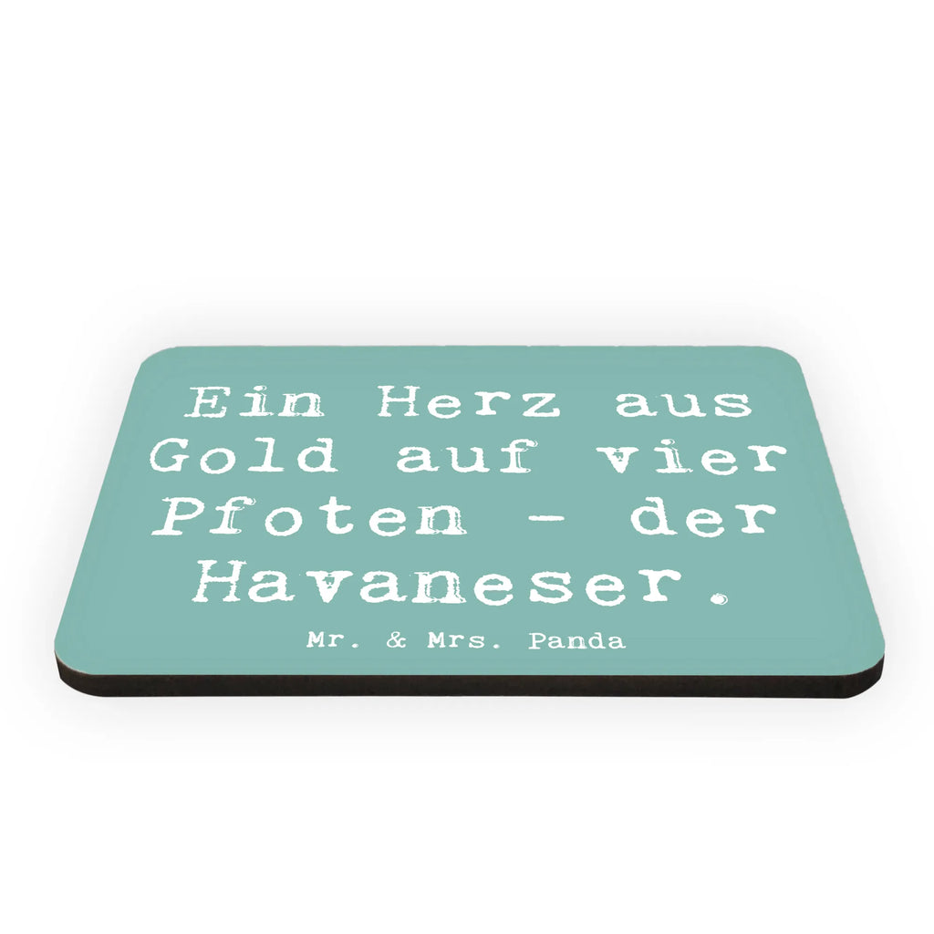 Magnet Spruch Goldherz Havaneser Kühlschrank Dekoration, Souvenir Magnet, Dekomagnet, Notiz Magnet, Pinnwandmagnet, Kühlschrankmagnet, Whiteboard Magnet, Motivmagnete, Hund, Hunderasse, Rassehund, Hundebesitzer, Geschenk, Tierfreund, Schenken, Welpe