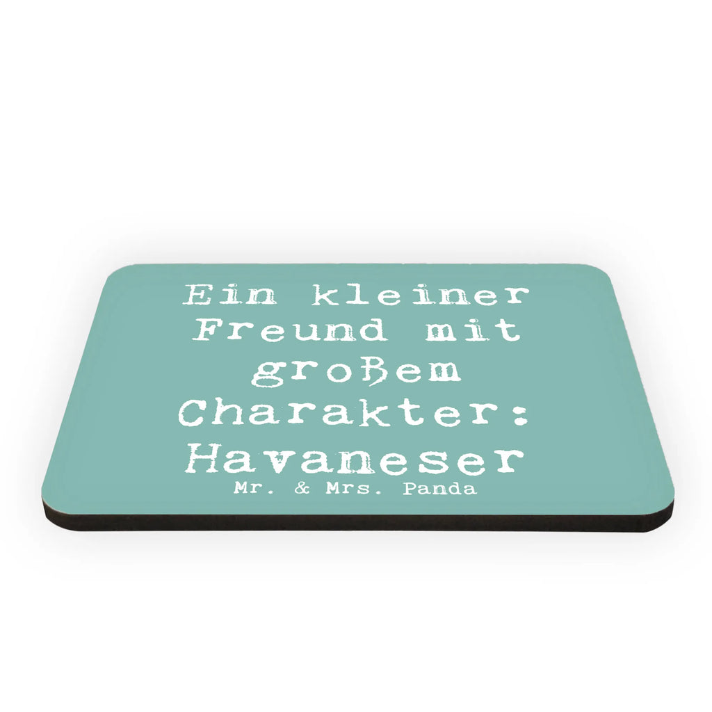 Magnet Spruch Havaneser Freund Notiz Magnet, Motivmagnete, Pinnwandmagnet, Whiteboard Magnet, Souvenir Magnet, Dekomagnet, Kühlschrankmagnet, Kühlschrank Dekoration, Hund, Hunderasse, Rassehund, Hundebesitzer, Geschenk, Tierfreund, Schenken, Welpe