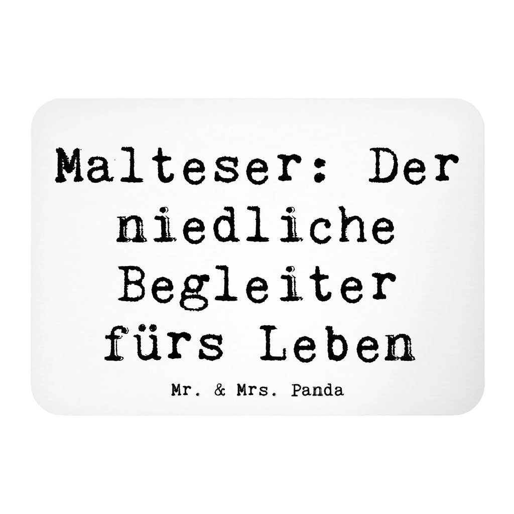 Magnet Saying Malteser: Der niedliche Begleiter fürs Leben Motivmagnete, Pinnwandmagnet, Dekomagnet, Notiz Magnet, Souvenir Magnet, Kühlschrankmagnet, Kühlschrank Dekoration, Whiteboard Magnet, Hund, Hunderasse, Rassehund, Hundebesitzer, Geschenk, Tierfreund, Schenken, Welpe