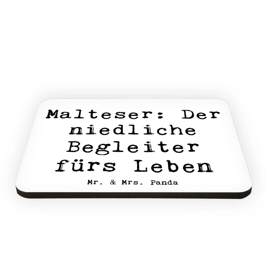 Magnet Saying Malteser: Der niedliche Begleiter fürs Leben Motivmagnete, Pinnwandmagnet, Dekomagnet, Notiz Magnet, Souvenir Magnet, Kühlschrankmagnet, Kühlschrank Dekoration, Whiteboard Magnet, Hund, Hunderasse, Rassehund, Hundebesitzer, Geschenk, Tierfreund, Schenken, Welpe