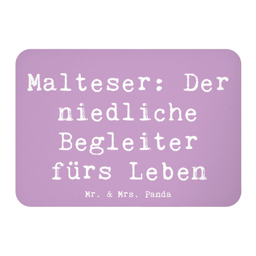 Magnet Saying Malteser: Der niedliche Begleiter fürs Leben Motivmagnete, Pinnwandmagnet, Dekomagnet, Notiz Magnet, Souvenir Magnet, Kühlschrankmagnet, Kühlschrank Dekoration, Whiteboard Magnet, Hund, Hunderasse, Rassehund, Hundebesitzer, Geschenk, Tierfreund, Schenken, Welpe