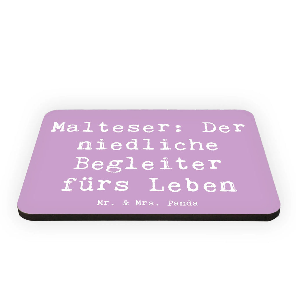 Magnet Saying Malteser: Der niedliche Begleiter fürs Leben Motivmagnete, Pinnwandmagnet, Dekomagnet, Notiz Magnet, Souvenir Magnet, Kühlschrankmagnet, Kühlschrank Dekoration, Whiteboard Magnet, Hund, Hunderasse, Rassehund, Hundebesitzer, Geschenk, Tierfreund, Schenken, Welpe