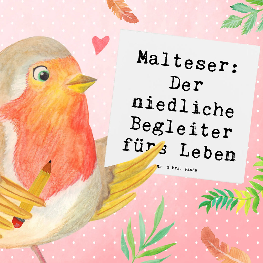 Deluxe Karte Spruch Malteser Begleiter Karte, Hochzeitskarte, Grußkarte, Glückwunschkarte, Hochwertige Grußkarte, Einladungskarte, Geburtstagskarte, Hochwertige Klappkarte, Klappkarte, Hund, Hunderasse, Rassehund, Hundebesitzer, Geschenk, Tierfreund, Schenken, Welpe