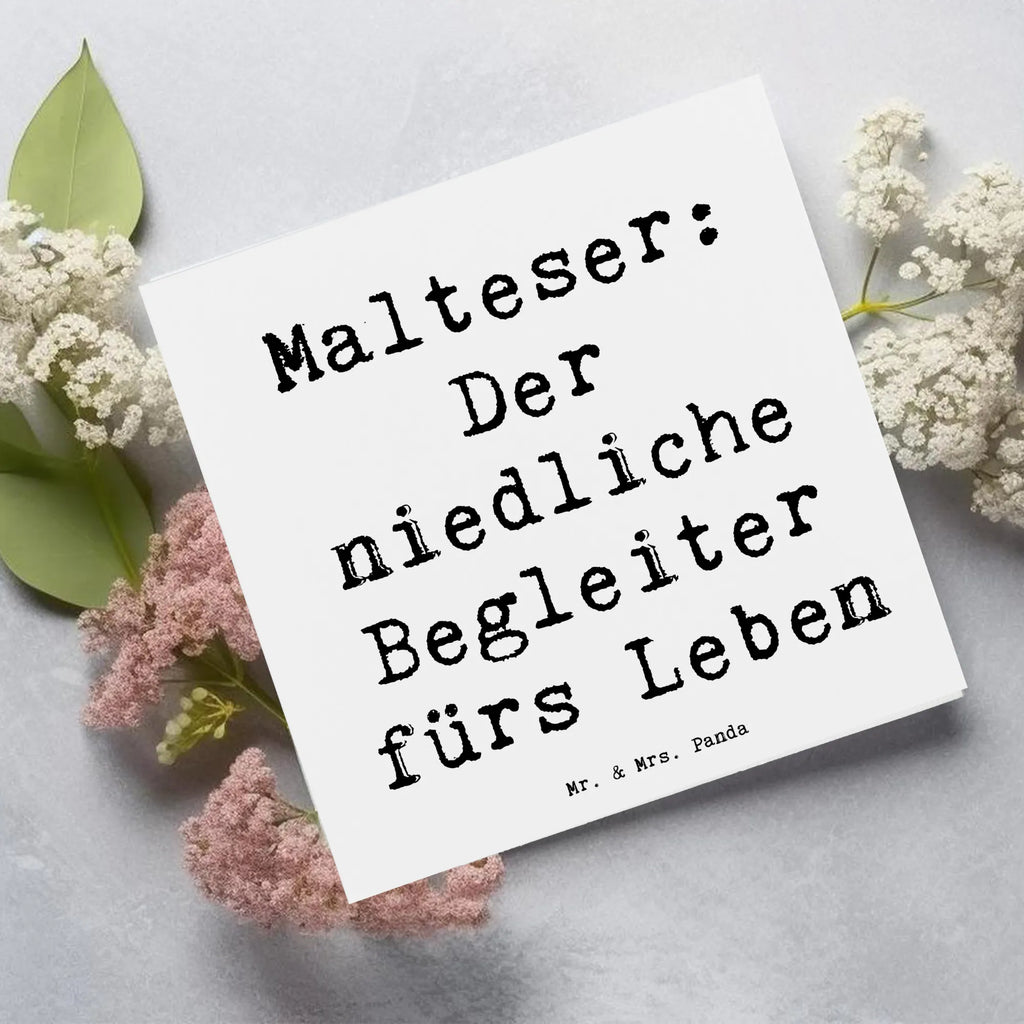 Deluxe Karte Spruch Malteser Begleiter Karte, Hochzeitskarte, Grußkarte, Glückwunschkarte, Hochwertige Grußkarte, Einladungskarte, Geburtstagskarte, Hochwertige Klappkarte, Klappkarte, Hund, Hunderasse, Rassehund, Hundebesitzer, Geschenk, Tierfreund, Schenken, Welpe