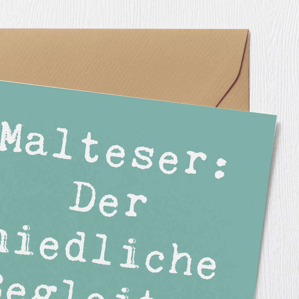 Deluxe Karte Spruch Malteser Begleiter Karte, Hochzeitskarte, Grußkarte, Glückwunschkarte, Hochwertige Grußkarte, Einladungskarte, Geburtstagskarte, Hochwertige Klappkarte, Klappkarte, Hund, Hunderasse, Rassehund, Hundebesitzer, Geschenk, Tierfreund, Schenken, Welpe