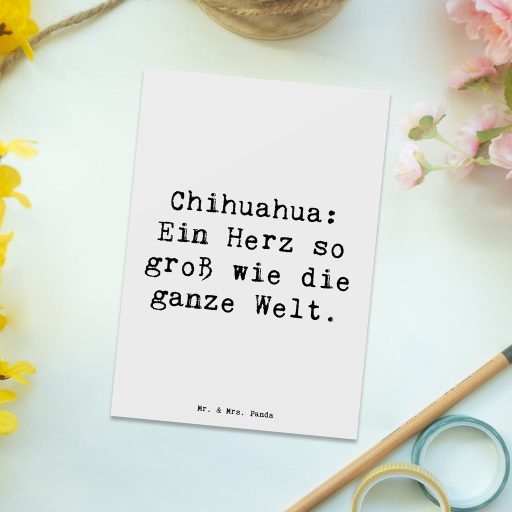 Postkarte Spruch Chihuahua Herz Postkarte, Einladung Geburtstag, Einladungskarte, Einladung, Karte, Einladungskarten Geburtstag, Ansichtskarte, Grußkarte, Geburtstagskarte, Geschenkkarte, Dankeskarte, Ansichtskarten, Hund, Hunderasse, Rassehund, Hundebesitzer, Geschenk, Tierfreund, Schenken, Welpe