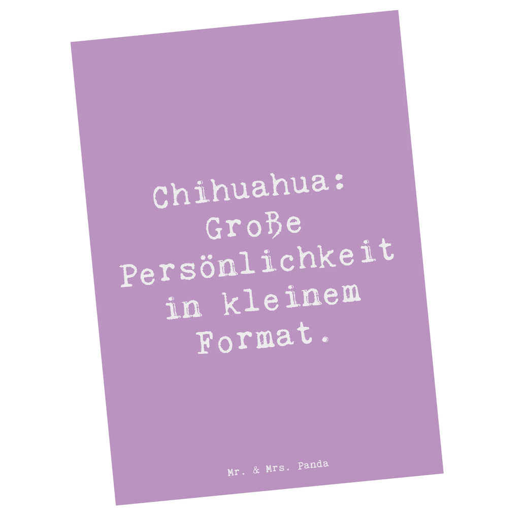 Postcard Saying Chihuahua: Große Persönlichkeit in kleinem Format. Postkarte, Einladungskarten Geburtstag, Ansichtskarten, Karte, Einladungskarte, Ansichtskarte, Grußkarte, Dankeskarte, Einladung, Geschenkkarte, Geburtstagskarte, Einladung Geburtstag, Hund, Hunderasse, Rassehund, Hundebesitzer, Geschenk, Tierfreund, Schenken, Welpe