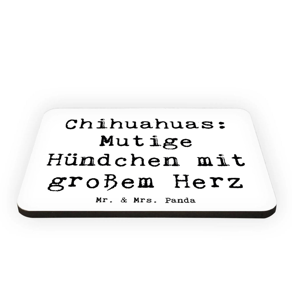 Magnet Saying Chihuahuas: Mutige Hündchen mit großem Herz Souvenir Magnet, Dekomagnet, Motivmagnete, Whiteboard Magnet, Kühlschrankmagnet, Notiz Magnet, Pinnwandmagnet, Kühlschrank Dekoration, Hund, Hunderasse, Rassehund, Hundebesitzer, Geschenk, Tierfreund, Schenken, Welpe