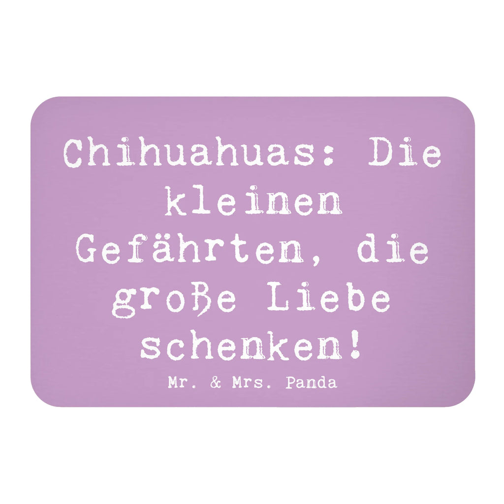 Magnet Spruch Chihuahua Liebe Kühlschrankmagnet, Notiz Magnet, Pinnwandmagnet, Kühlschrank Dekoration, Dekomagnet, Souvenir Magnet, Whiteboard Magnet, Motivmagnete, Hund, Hunderasse, Rassehund, Hundebesitzer, Geschenk, Tierfreund, Schenken, Welpe