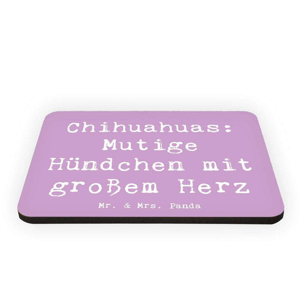Magnet Saying Chihuahuas: Mutige Hündchen mit großem Herz Souvenir Magnet, Dekomagnet, Motivmagnete, Whiteboard Magnet, Kühlschrankmagnet, Notiz Magnet, Pinnwandmagnet, Kühlschrank Dekoration, Hund, Hunderasse, Rassehund, Hundebesitzer, Geschenk, Tierfreund, Schenken, Welpe