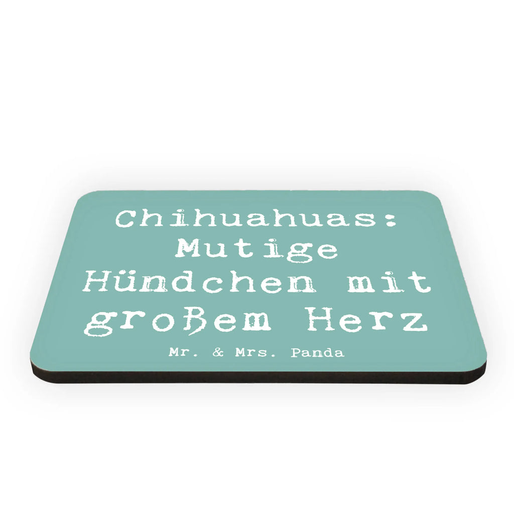 Magnet Saying Chihuahuas: Mutige Hündchen mit großem Herz Souvenir Magnet, Dekomagnet, Motivmagnete, Whiteboard Magnet, Kühlschrankmagnet, Notiz Magnet, Pinnwandmagnet, Kühlschrank Dekoration, Hund, Hunderasse, Rassehund, Hundebesitzer, Geschenk, Tierfreund, Schenken, Welpe