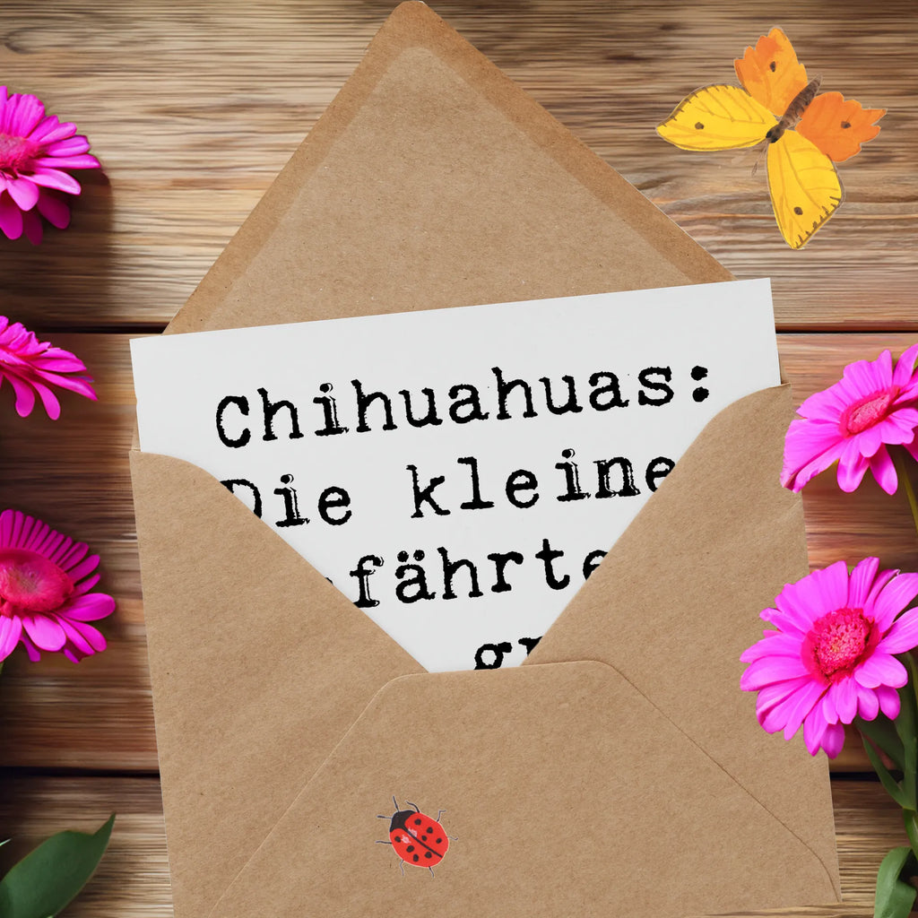 Deluxe Karte Spruch Chihuahua Liebe Grußkarte, Hochwertige Grußkarte, Karte, Einladungskarte, Glückwunschkarte, Klappkarte, Hochwertige Klappkarte, Geburtstagskarte, Hochzeitskarte, Hund, Hunderasse, Rassehund, Hundebesitzer, Geschenk, Tierfreund, Schenken, Welpe