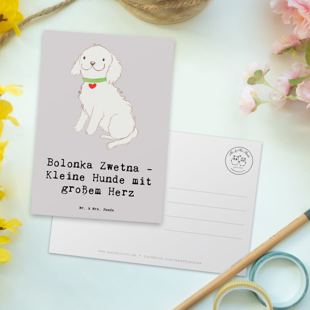 Postcard Bolonka Zwetna - Kleine Hunde mit großem Herz Karte, Einladungskarte, Grußkarte, Einladung Geburtstag, Einladung, Geschenkkarte, Dankeskarte, Geburtstagskarte, Ansichtskarten, Ansichtskarte, Postkarte, Einladungskarten Geburtstag, Hund, Hunderasse, Rassehund, Hundebesitzer, Geschenk, Tierfreund, Schenken, Welpe