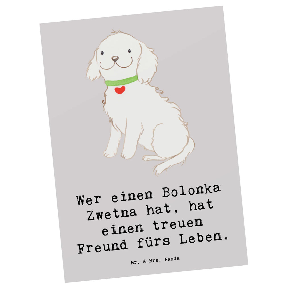 Postkarte Bolonka Zwetna Karte, Dankeskarte, Postkarte, Einladungskarten Geburtstag, Geburtstagskarte, Ansichtskarten, Geschenkkarte, Einladung, Einladung Geburtstag, Einladungskarte, Grußkarte, Ansichtskarte, Hund, Hunderasse, Rassehund, Hundebesitzer, Geschenk, Tierfreund, Schenken, Welpe