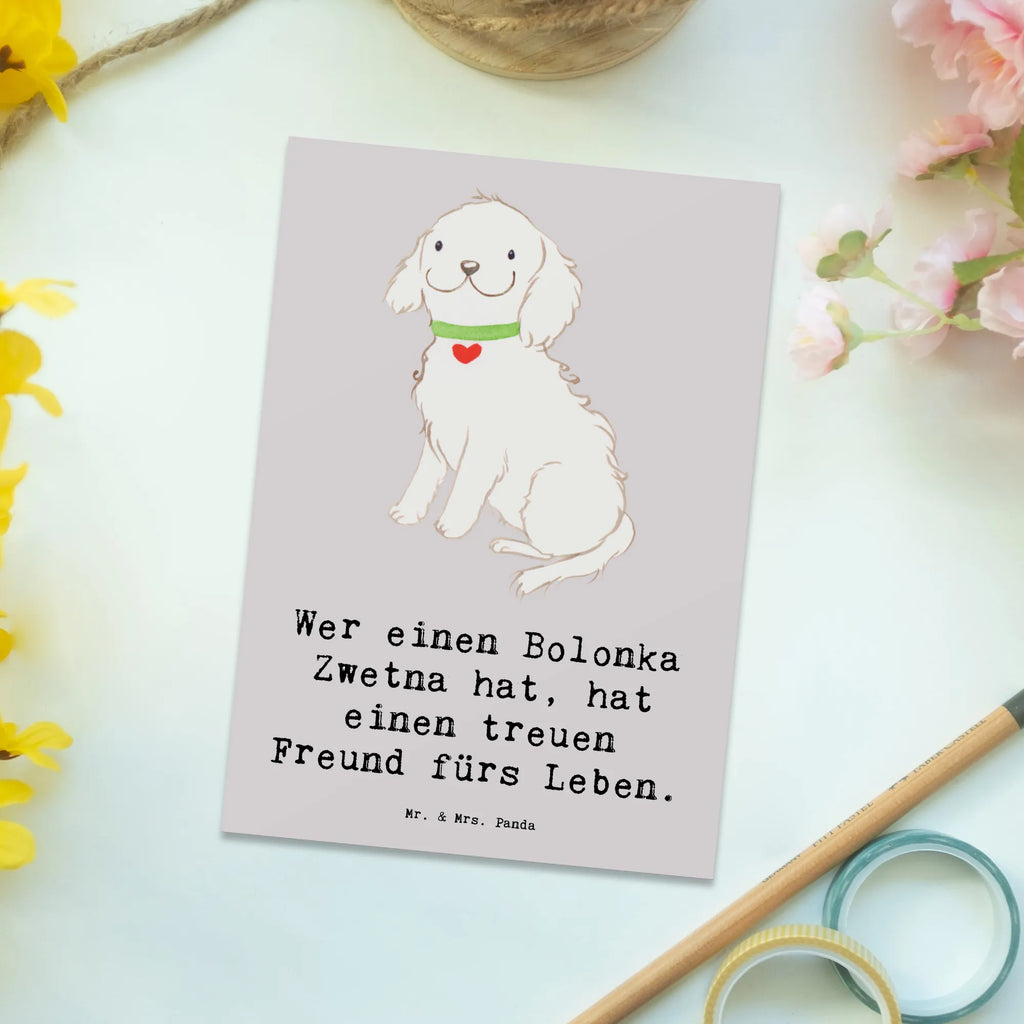 Postkarte Bolonka Zwetna Karte, Dankeskarte, Postkarte, Einladungskarten Geburtstag, Geburtstagskarte, Ansichtskarten, Geschenkkarte, Einladung, Einladung Geburtstag, Einladungskarte, Grußkarte, Ansichtskarte, Hund, Hunderasse, Rassehund, Hundebesitzer, Geschenk, Tierfreund, Schenken, Welpe
