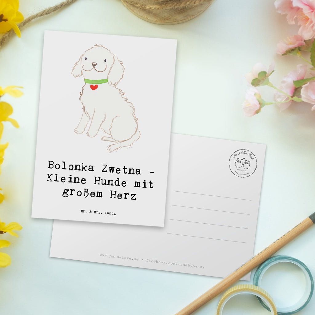 Postcard Bolonka Zwetna - Kleine Hunde mit großem Herz Karte, Einladungskarte, Grußkarte, Einladung Geburtstag, Einladung, Geschenkkarte, Dankeskarte, Geburtstagskarte, Ansichtskarten, Ansichtskarte, Postkarte, Einladungskarten Geburtstag, Hund, Hunderasse, Rassehund, Hundebesitzer, Geschenk, Tierfreund, Schenken, Welpe
