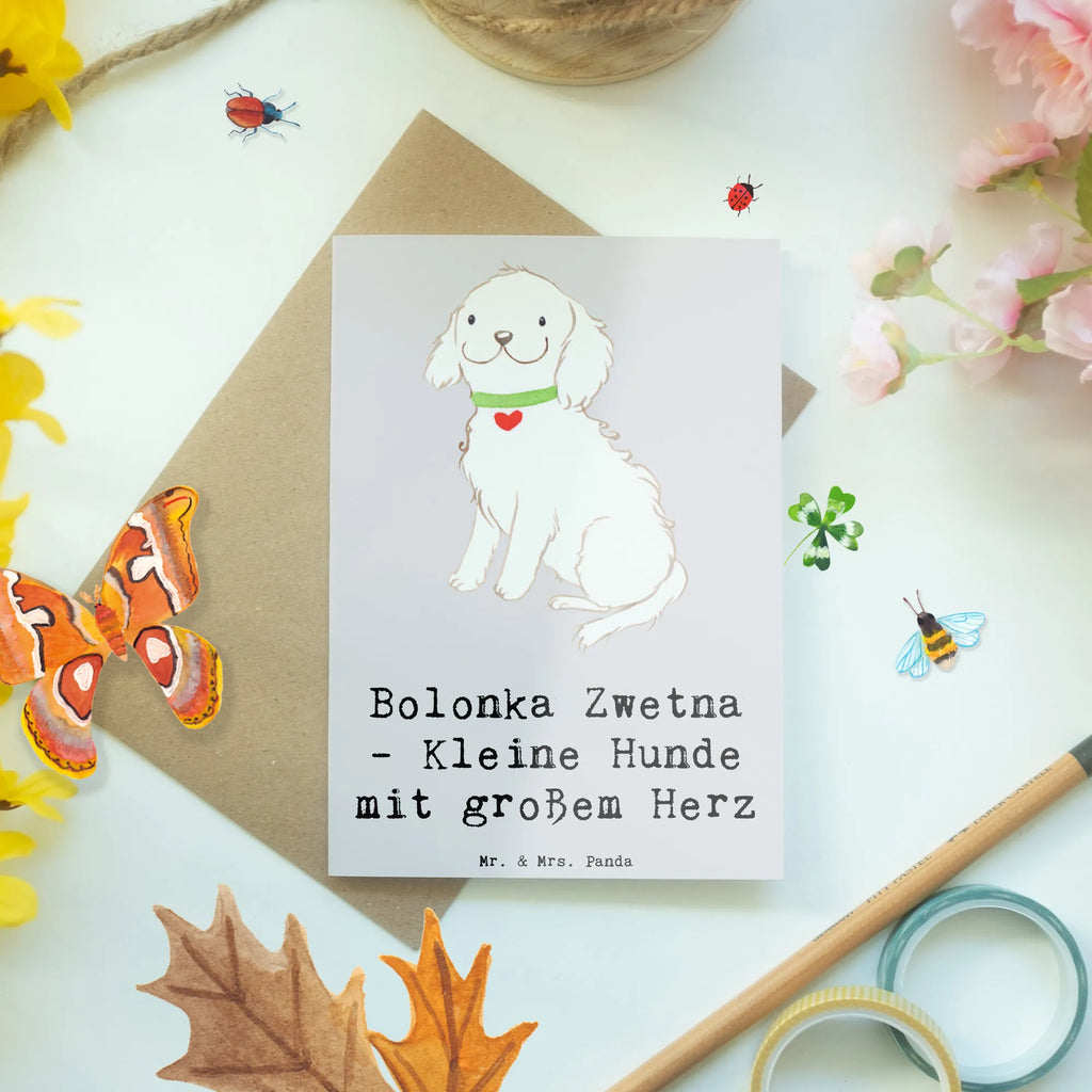 Greetings card Bolonka Zwetna - Kleine Hunde mit großem Herz Glückwunschkarte, Hochzeitskarte, Karte, Einladungskarte, Klappkarte, Grußkarte, Ansichtskarten, Geburtstagskarte, Hund, Hunderasse, Rassehund, Hundebesitzer, Geschenk, Tierfreund, Schenken, Welpe