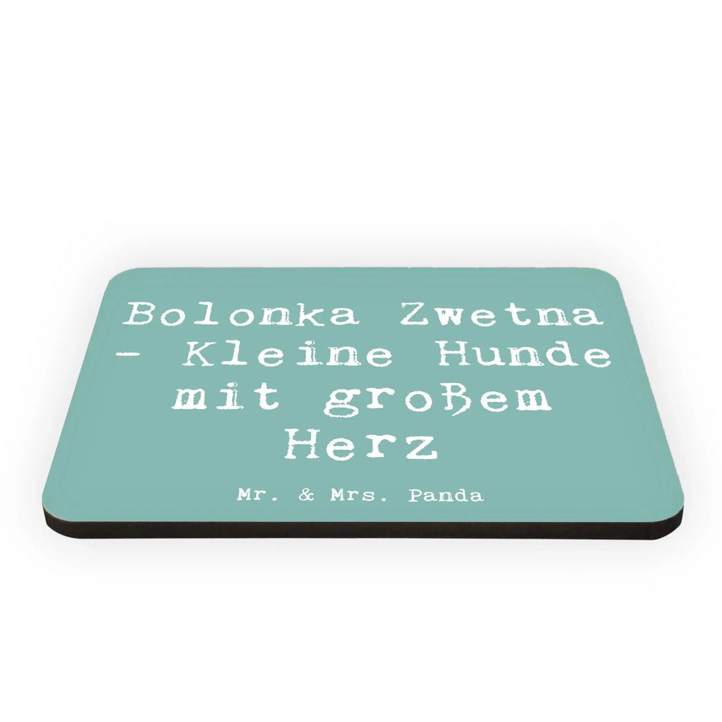 Magnet Spruch Bolonka Zwetna Herz Pinnwandmagnet, Souvenir Magnet, Motivmagnete, Whiteboard Magnet, Notiz Magnet, Dekomagnet, Kühlschrankmagnet, Kühlschrank Dekoration, Hund, Hunderasse, Rassehund, Hundebesitzer, Geschenk, Tierfreund, Schenken, Welpe