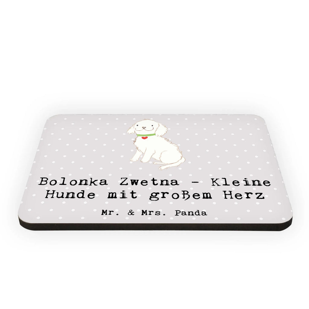 Magnet Bolonka Zwetna Herz Notiz Magnet, Souvenir Magnet, Motivmagnete, Whiteboard Magnet, Kühlschrankmagnet, Pinnwandmagnet, Kühlschrank Dekoration, Dekomagnet, Hund, Hunderasse, Rassehund, Hundebesitzer, Geschenk, Tierfreund, Schenken, Welpe