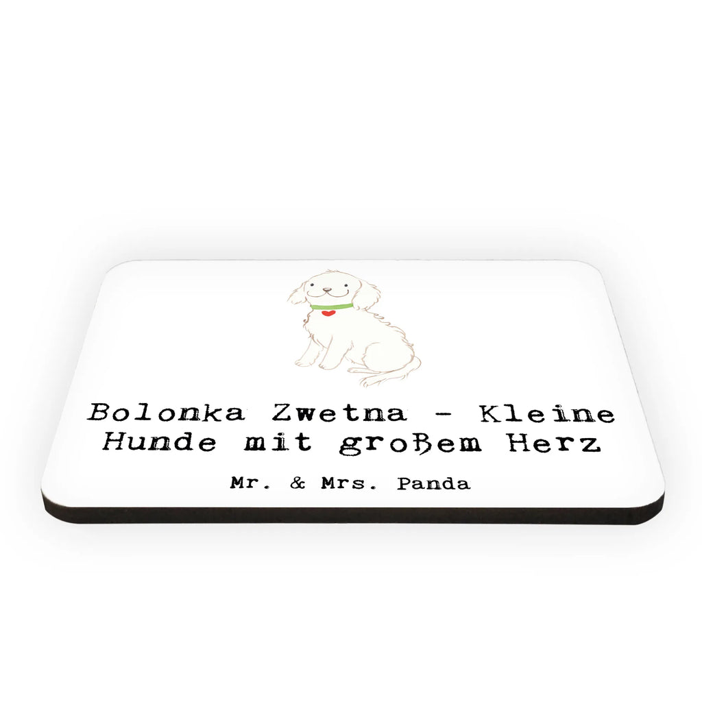 Magnet Bolonka Zwetna Herz Notiz Magnet, Souvenir Magnet, Motivmagnete, Whiteboard Magnet, Kühlschrankmagnet, Pinnwandmagnet, Kühlschrank Dekoration, Dekomagnet, Hund, Hunderasse, Rassehund, Hundebesitzer, Geschenk, Tierfreund, Schenken, Welpe