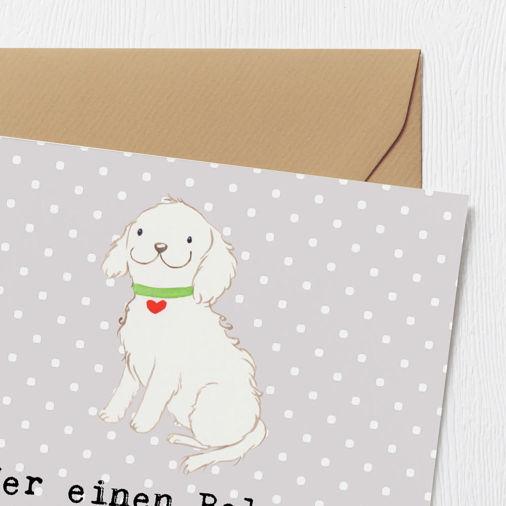 Deluxe Karte Bolonka Zwetna Karte, Glückwunschkarte, Grußkarte, Hochwertige Grußkarte, Klappkarte, Geburtstagskarte, Hochwertige Klappkarte, Einladungskarte, Hochzeitskarte, Hund, Hunderasse, Rassehund, Hundebesitzer, Geschenk, Tierfreund, Schenken, Welpe