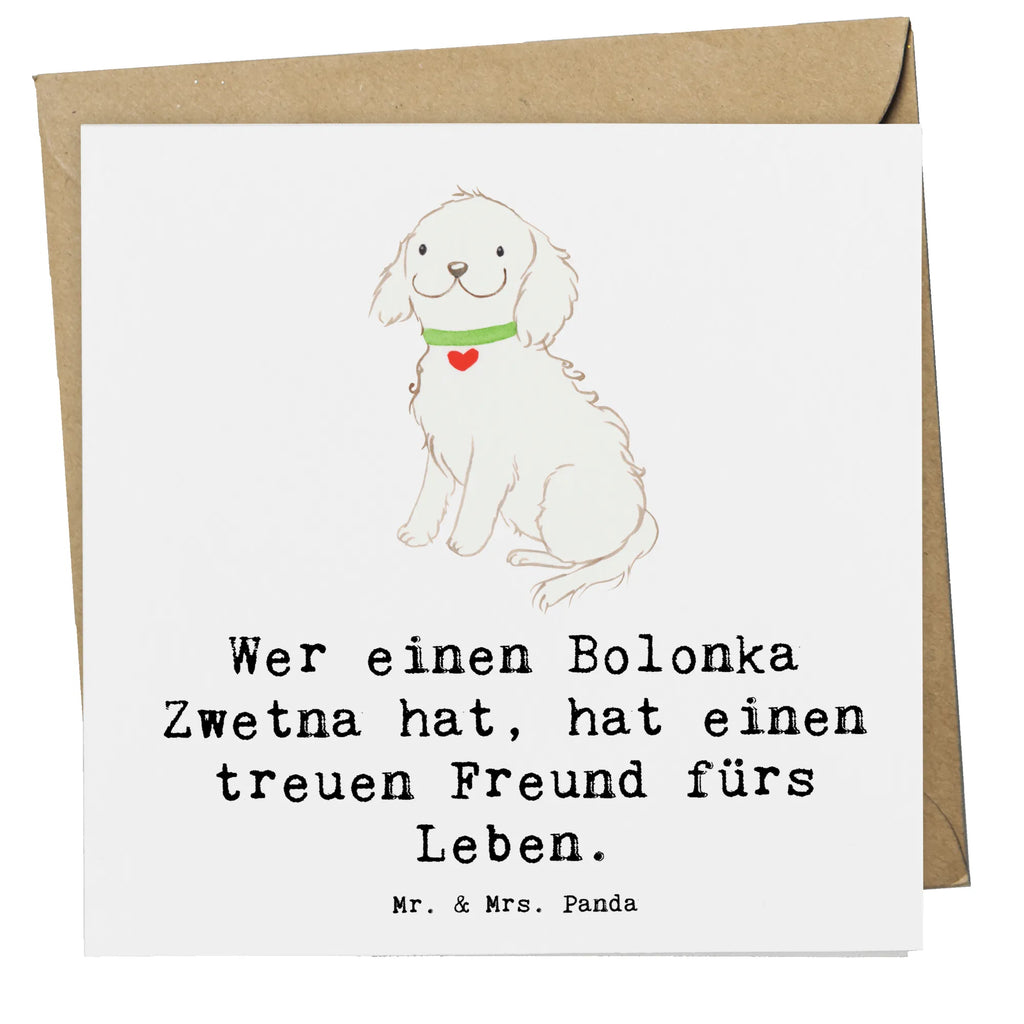 Deluxe Karte Bolonka Zwetna Karte, Glückwunschkarte, Grußkarte, Hochwertige Grußkarte, Klappkarte, Geburtstagskarte, Hochwertige Klappkarte, Einladungskarte, Hochzeitskarte, Hund, Hunderasse, Rassehund, Hundebesitzer, Geschenk, Tierfreund, Schenken, Welpe