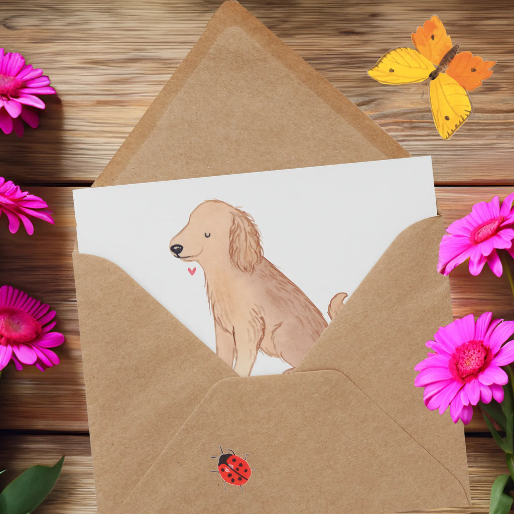 Deluxe Karte Cocker Spaniel Freude Klappkarte, Einladungskarte, Glückwunschkarte, Grußkarte, Hochwertige Grußkarte, Karte, Hochwertige Klappkarte, Geburtstagskarte, Hochzeitskarte, Hund, Hunderasse, Rassehund, Hundebesitzer, Geschenk, Tierfreund, Schenken, Welpe