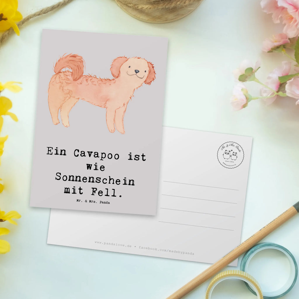 Postkarte Cavapoo Sonnenschein Dankeskarte, Einladungskarten Geburtstag, Karte, Einladung, Geschenkkarte, Grußkarte, Einladung Geburtstag, Ansichtskarten, Ansichtskarte, Postkarte, Geburtstagskarte, Einladungskarte, Hund, Hunderasse, Rassehund, Hundebesitzer, Geschenk, Tierfreund, Schenken, Welpe