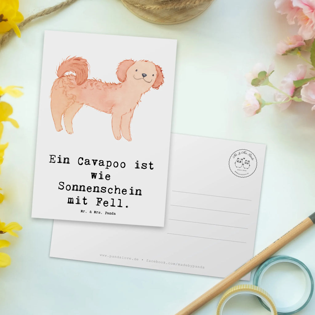 Postkarte Cavapoo Sonnenschein Dankeskarte, Einladungskarten Geburtstag, Karte, Einladung, Geschenkkarte, Grußkarte, Einladung Geburtstag, Ansichtskarten, Ansichtskarte, Postkarte, Geburtstagskarte, Einladungskarte, Hund, Hunderasse, Rassehund, Hundebesitzer, Geschenk, Tierfreund, Schenken, Welpe