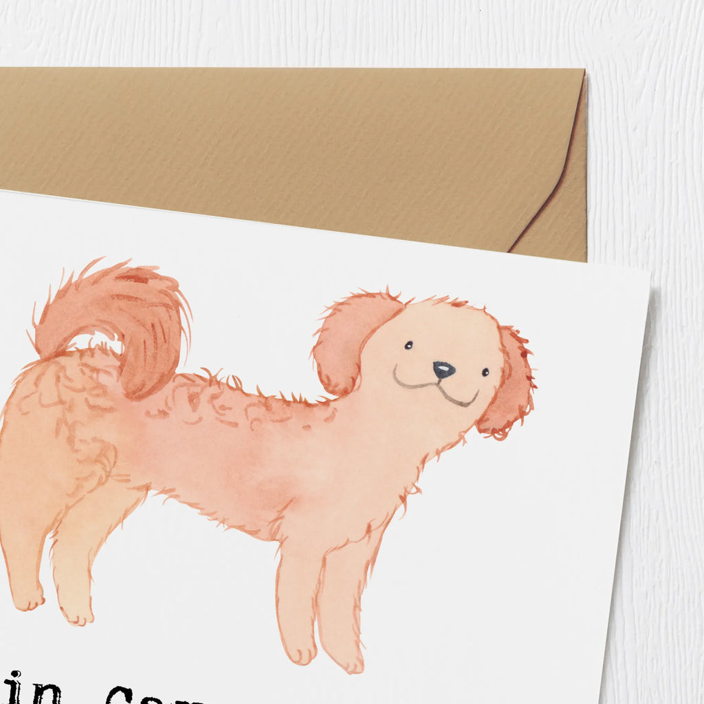 Deluxe Karte Cavapoo Sonnenschein Einladungskarte, Klappkarte, Glückwunschkarte, Karte, Hochwertige Grußkarte, Geburtstagskarte, Grußkarte, Hochwertige Klappkarte, Hochzeitskarte, Hund, Hunderasse, Rassehund, Hundebesitzer, Geschenk, Tierfreund, Schenken, Welpe
