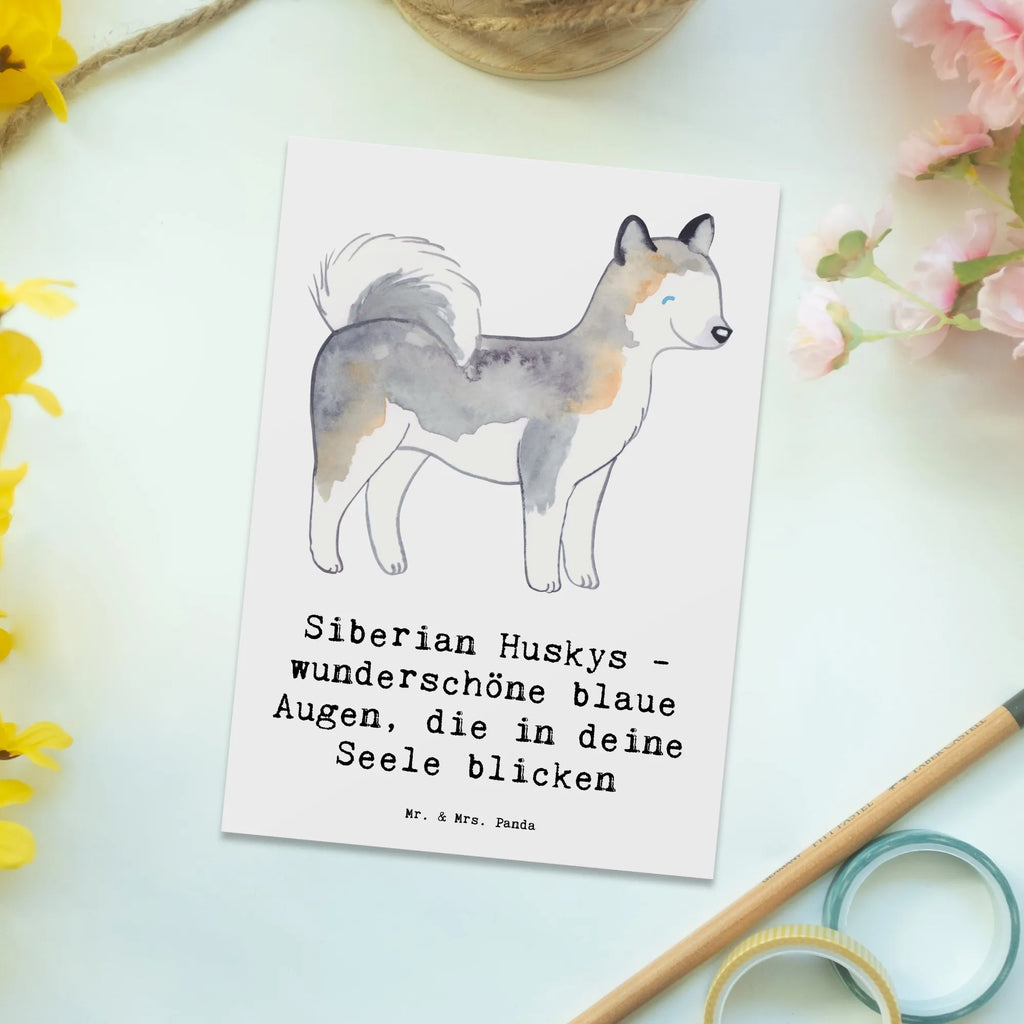 Postkarte Siberian Husky Augenzauber Einladungskarten Geburtstag, Einladung, Geschenkkarte, Karte, Dankeskarte, Einladung Geburtstag, Postkarte, Grußkarte, Einladungskarte, Ansichtskarten, Ansichtskarte, Geburtstagskarte, Hund, Hunderasse, Rassehund, Hundebesitzer, Geschenk, Tierfreund, Schenken, Welpe
