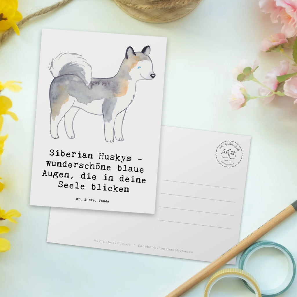 Postkarte Siberian Husky Augenzauber Einladungskarten Geburtstag, Einladung, Geschenkkarte, Karte, Dankeskarte, Einladung Geburtstag, Postkarte, Grußkarte, Einladungskarte, Ansichtskarten, Ansichtskarte, Geburtstagskarte, Hund, Hunderasse, Rassehund, Hundebesitzer, Geschenk, Tierfreund, Schenken, Welpe