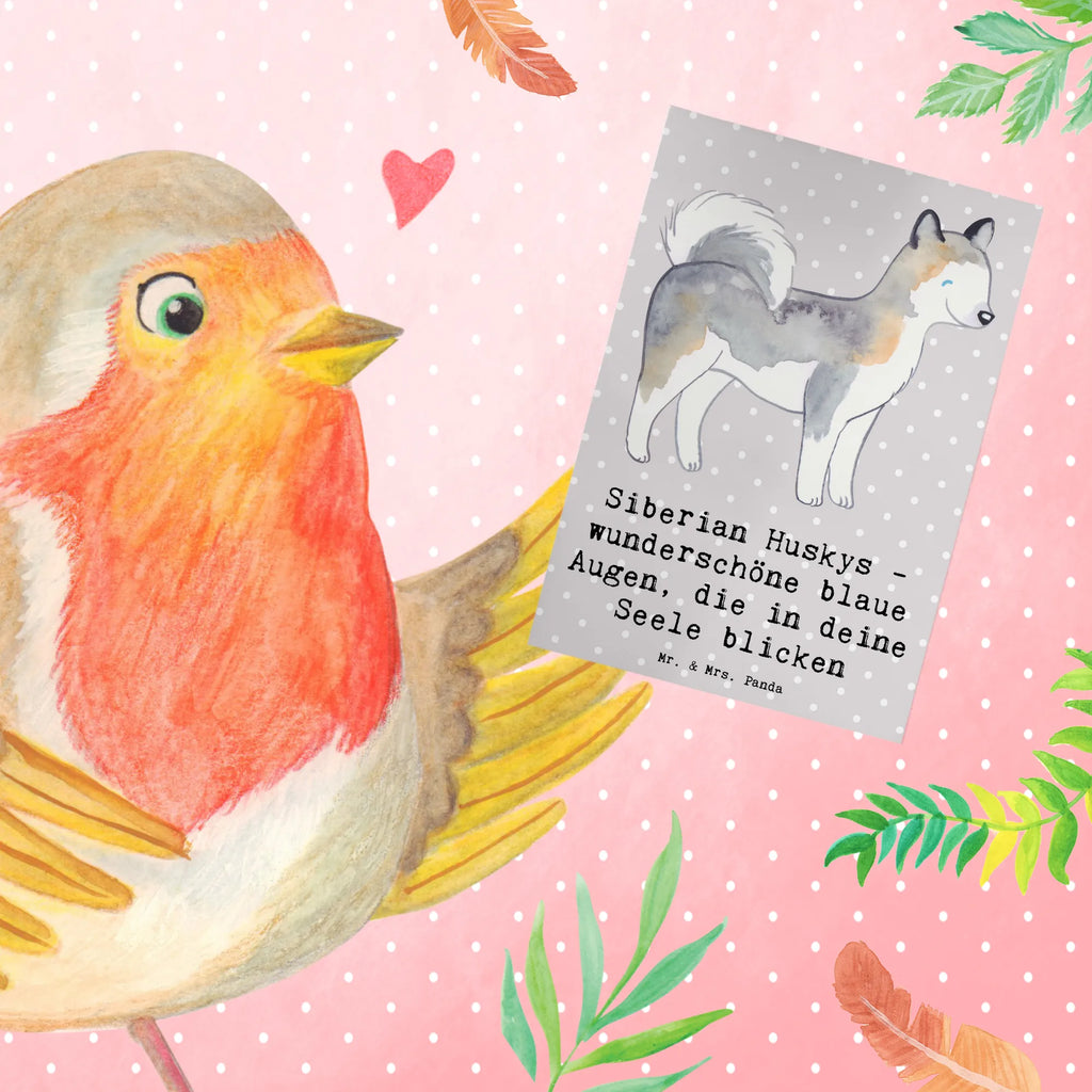 Grußkarte Siberian Husky Augenzauber Hochzeitskarte, Grußkarte, Klappkarte, Ansichtskarten, Geburtstagskarte, Glückwunschkarte, Einladungskarte, Karte, Hund, Hunderasse, Rassehund, Hundebesitzer, Geschenk, Tierfreund, Schenken, Welpe