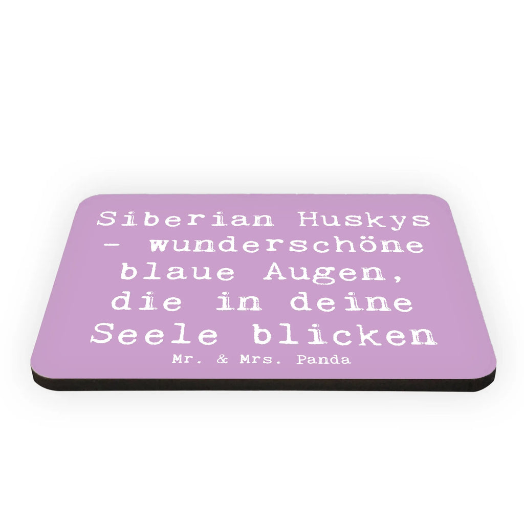 Magnet Saying Siberian Huskys - wunderschöne blaue Augen, die in deine Seele blicken Kühlschrankmagnet, Dekomagnet, Motivmagnete, Notiz Magnet, Souvenir Magnet, Pinnwandmagnet, Whiteboard Magnet, Kühlschrank Dekoration, Hund, Hunderasse, Rassehund, Hundebesitzer, Geschenk, Tierfreund, Schenken, Welpe