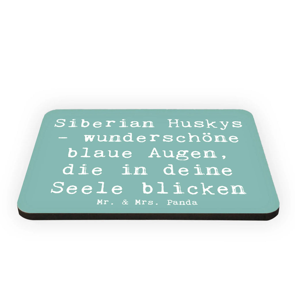 Magnet Saying Siberian Huskys - wunderschöne blaue Augen, die in deine Seele blicken Kühlschrankmagnet, Dekomagnet, Motivmagnete, Notiz Magnet, Souvenir Magnet, Pinnwandmagnet, Whiteboard Magnet, Kühlschrank Dekoration, Hund, Hunderasse, Rassehund, Hundebesitzer, Geschenk, Tierfreund, Schenken, Welpe